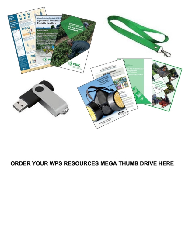 WPS官网推出AI错别字校对